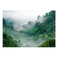 papel pintado 3d - morning fog 400x280 cm