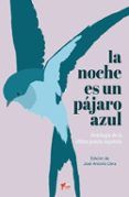 la noche es un pajaro azul