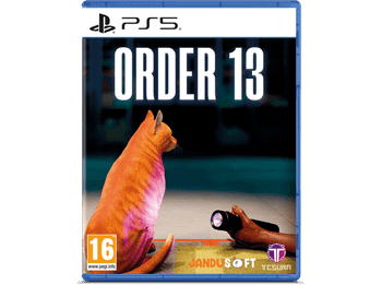 PS5 Order 13