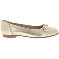marina galanti bailarinas mg1a112-gold para mujer