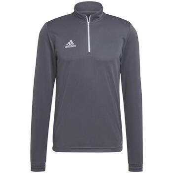 adidas Chaqueta deporte GT21254 para hombre
