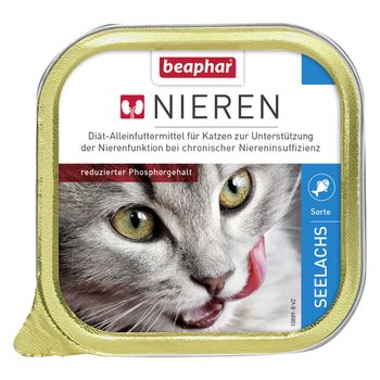 beaphar Dieta Insuficiencia Renal 24 x 100 g - Pack Ahorro - Pack mixto 2