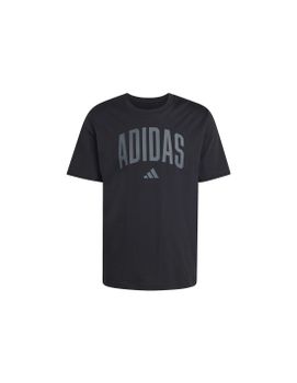 Camiseta adidas Collegiate Hombre Negro