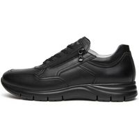 nerogiardini deportivas moda sauvage eva andalo 8770005 para hombre
