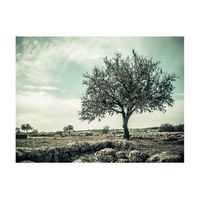 papel pintado 3d - arbol - vintage 300x231 cm