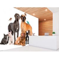 fotomural vinilo perros gatos y pajaros 400 x 300 cm