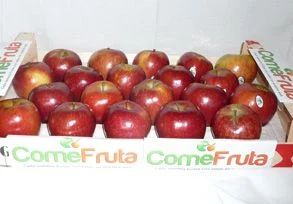 Manzana Red Chief