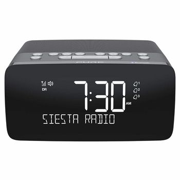 Pure SIESTA-CHARGE-BL