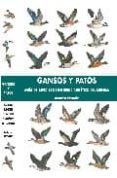 gansos y patos guia de especies de interes cinegetico del mundo