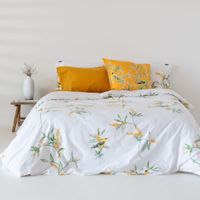 corniglia funda nordica