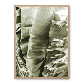 Cuadro Details Of Banana Leaves I