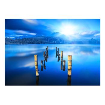 Papel Pintado 3d - Momento De Soledad (400x280 Cm)