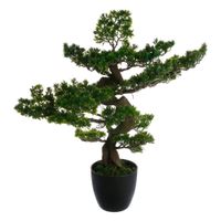 bonsai de polietileno en verde 80x54x80cm