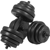 gyronetics e-series juego de mancuernas 30 kg