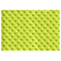 papel pintado 3d - relajacion limon 300x210 cm