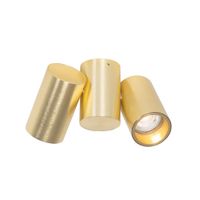 foco diseno dorado 2 luces orientable