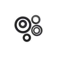 kit reten motor suzuki dr-z 400 athena