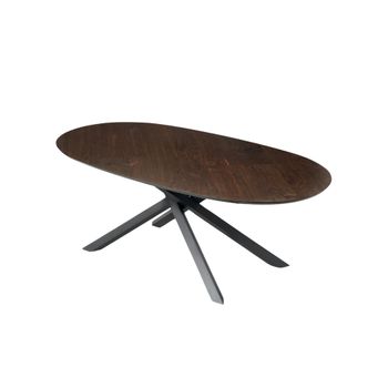 Mesa fija ovalada y tapa de madera marrón cm 210x109 75h