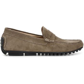 Café Noir Mocasines C1XN6916 para hombre