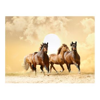 Papel Pintado 3d - Caballos Corriendo (200x154 Cm)
