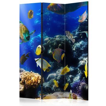 Biombo - Underwater Adventure (135x172 Cm)