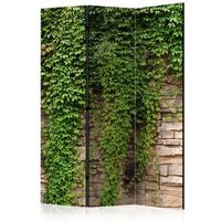 biombo - ivy wall 135x172 cm