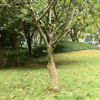 Vidaxl Rollo De Yute 0,5x50 M 100% Yute 200 G/m²