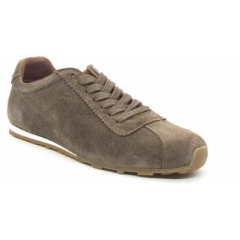 Creator Zapatos Bajos S-4159 para mujer
