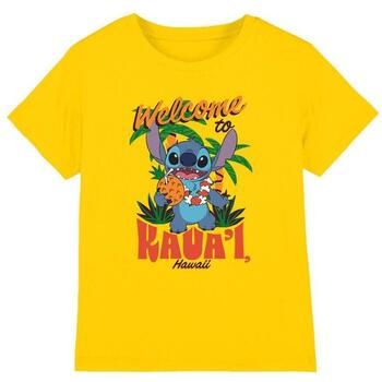 Disney Tops y Camisetas Kauai'i para niño