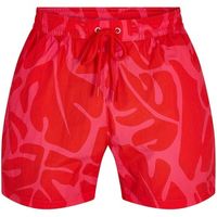 boss short bari para hombre