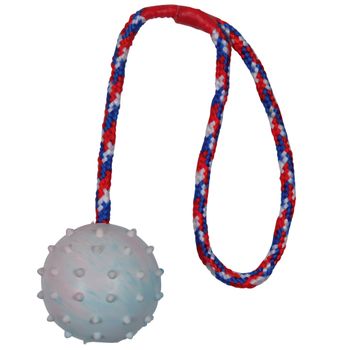 Trixie Rubber Ball with Throwing Handle  - approx. 6cm / Cord: 30cm