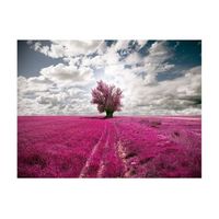 papel pintado 3d - prado de color magenta 300x231 cm