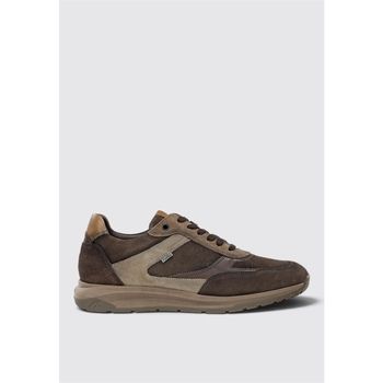 Fluchos Zapatillas F2531 para hombre