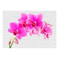 papel pintado 3d - estimulacion rosa 200x140 cm
