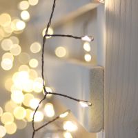 antique cluster 150 led light chain