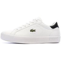 lacoste zapatillas powercourt para nino