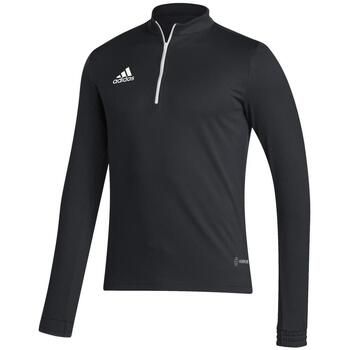 adidas Chaqueta deporte GT21254 para hombre