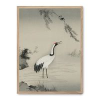 cuadro crane in nature