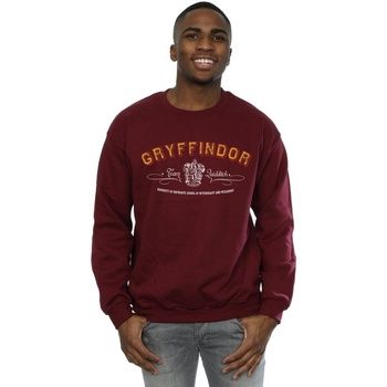 Harry Potter Jersey Gryffindor Quidditch para hombre