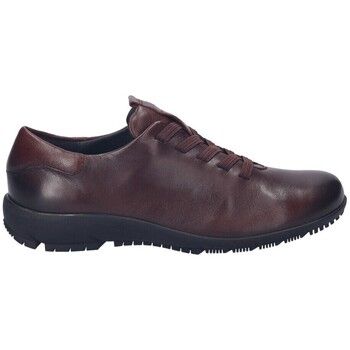 Josef Seibel Zapatos Mujer BLUCHER CHARLOTTE-01 PIEL GRANATE para mujer