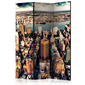 Biombo - Bird's Eye View Of New York (135x172 Cm)