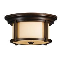 plafon de techo merrill 2 luces