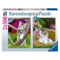 pack con 2 puzzles de 500 piezas de gatitos en la naturaleza 17269