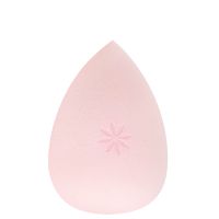 brushworks complexion sponge