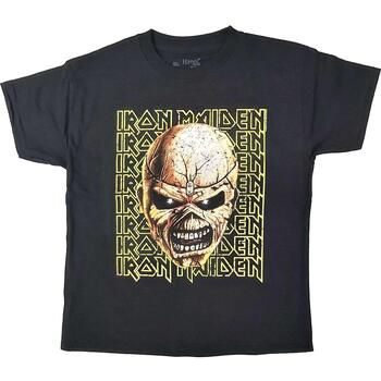 Iron Maiden Tops y Camisetas Big Trooper Head para niño