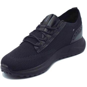 IgI&CO Zapatos Bajos 7634500 para hombre
