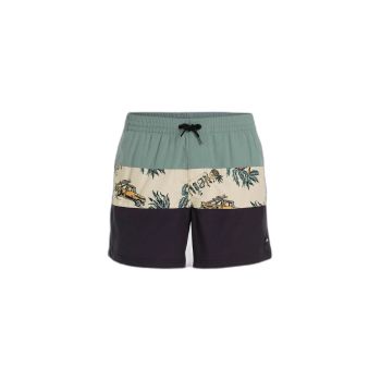 Bañador O'Neill Mix & Match Cali Block 15