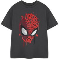 marvel camiseta friendly neighbourhood para nino