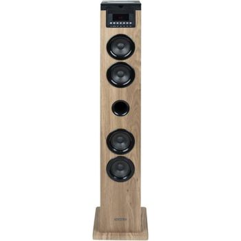 Thomson DS122CD Torre de Sonido Bluetooth con Reproductor de CD 60 W Madera