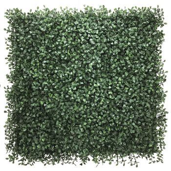 Estera Vegetal / De Pared / Jardín Vertical Leafluxe 1 50x50 Cm Verde Hjh Living